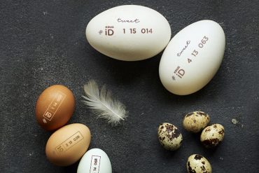 Krug & oeuf