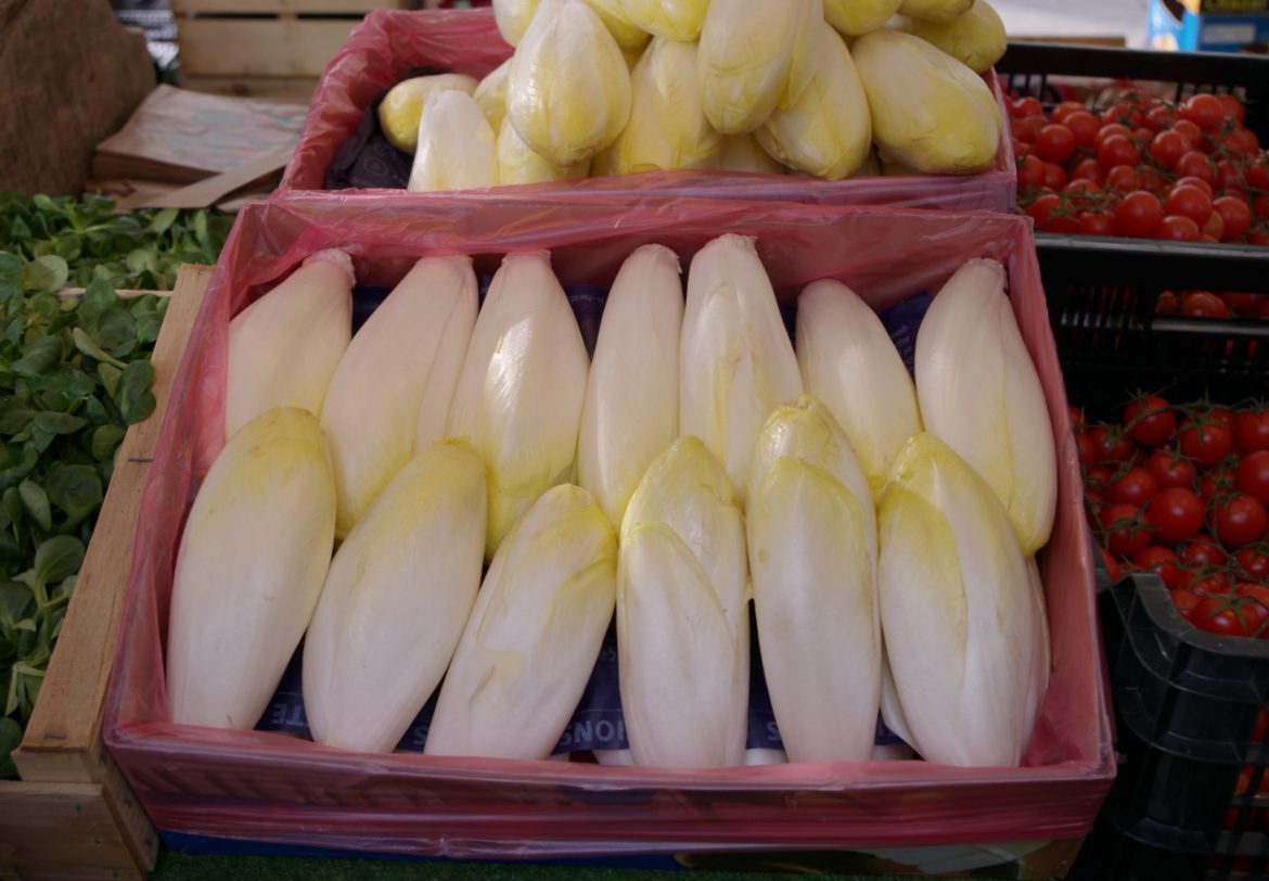 l'endive