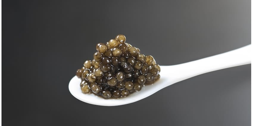 Le Caviar de Neuvic