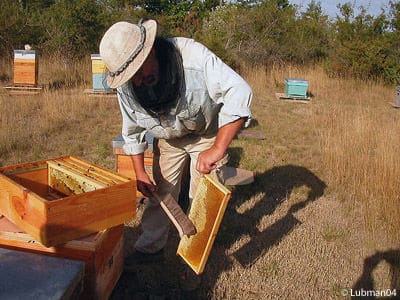 Miel & Miels la quintessence des miels français