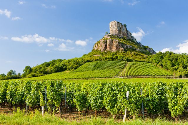 Pouilly-Fuissé Les Sentinelles 2015