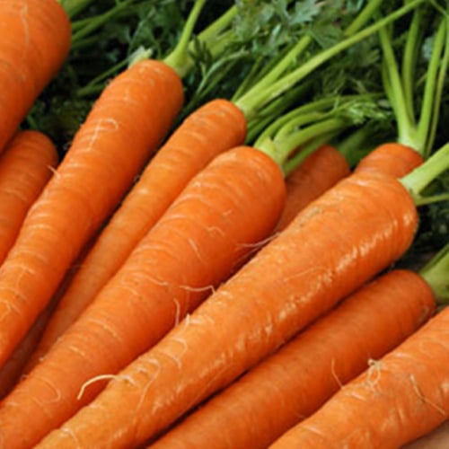 Les carottes colorées
