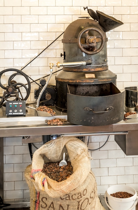 Chapon et la Chocolaterie
