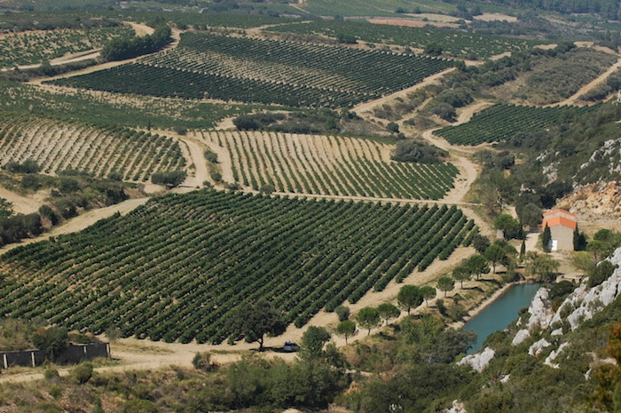 Le Château de Lastours Simone Descamps Blanc 2016