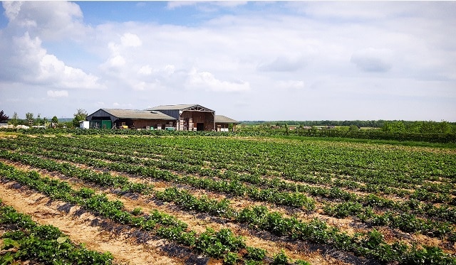 La Ferme du Logis