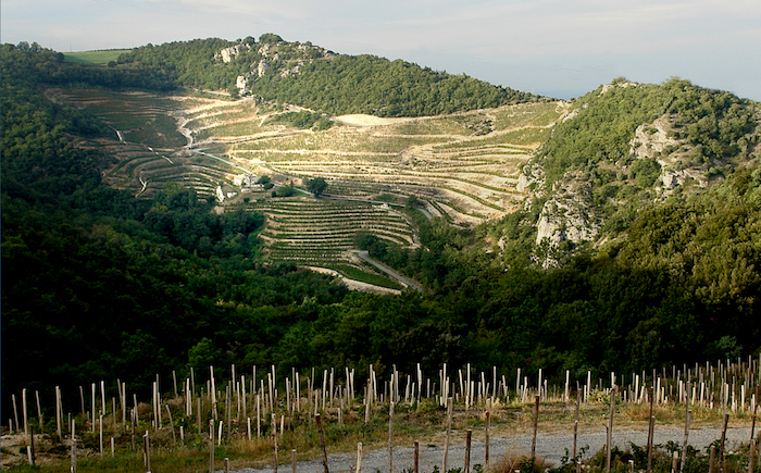 Saint-Joseph Cotte Sud 2015