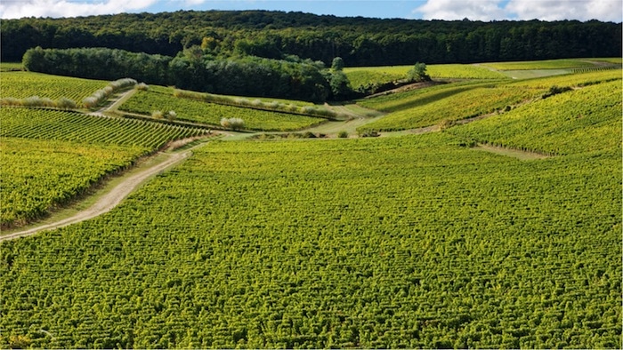 Château de Thauvenay Sancerre Blanc 2016 