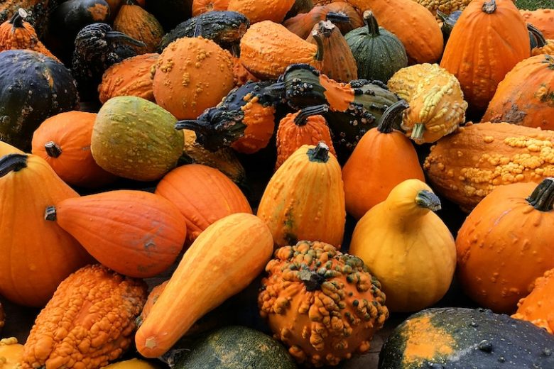 Les courges