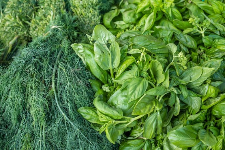 La boîte à herbes