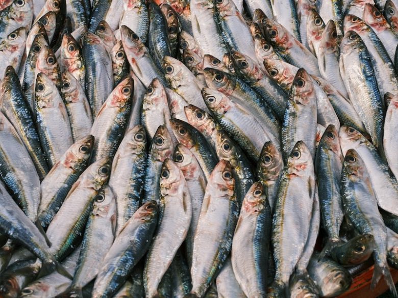 les viandes et poissons de janvier