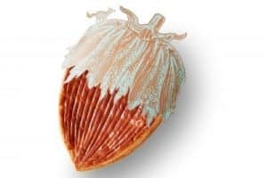 Les Galettes des Rois 2017 la sélection Kiss My Chef