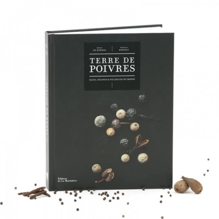 Livre Erwann de Kerros