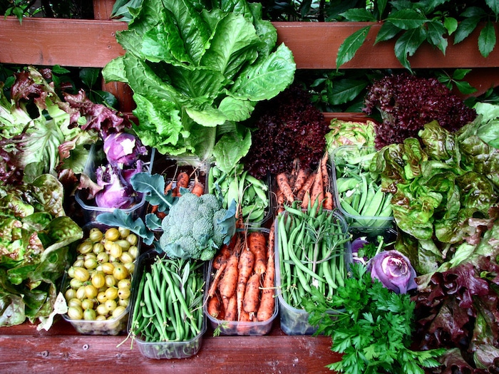 Les Produits De Saison Du Printemps Les Produits Au Meilleur Moment