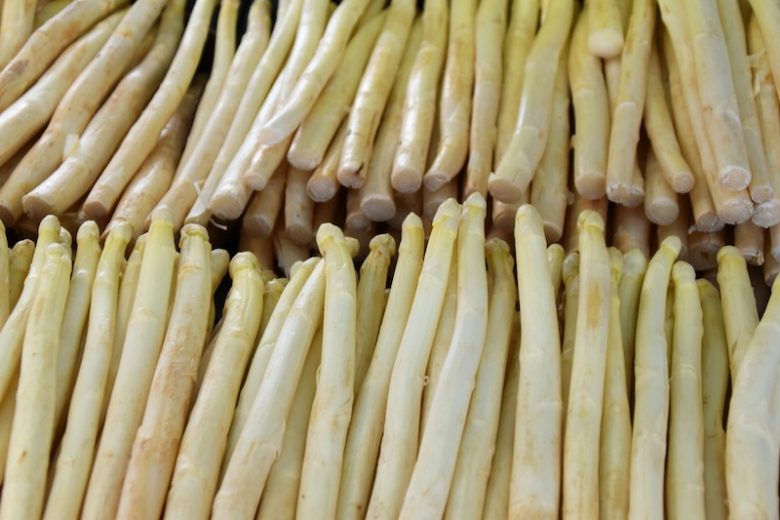 asperge