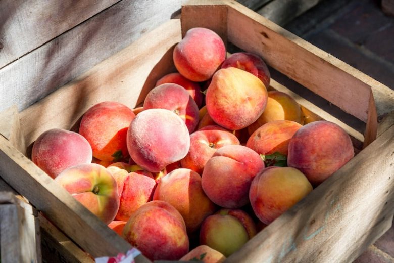 Pêches brugnons et nectarines