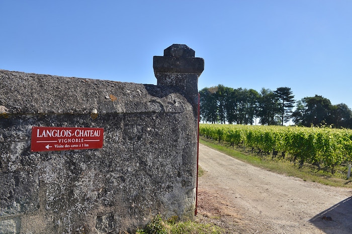 Le vignoble de Langlois-Chateau