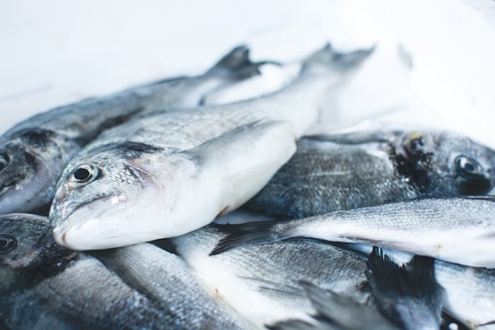 étal de poissons
