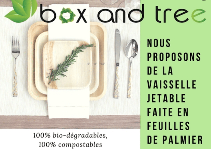 Vaisselle et couverts biodégradables