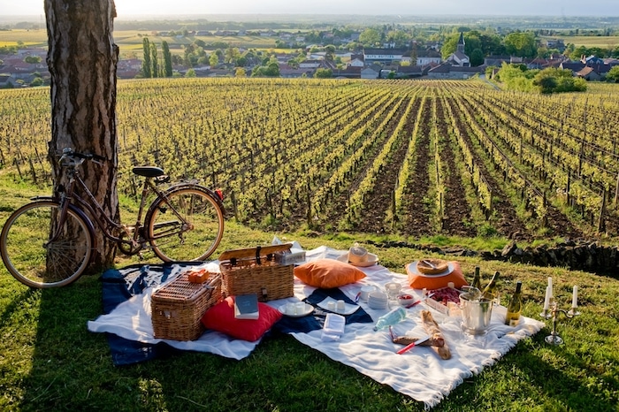 Pique-nique chez le Vigneron Indépendant