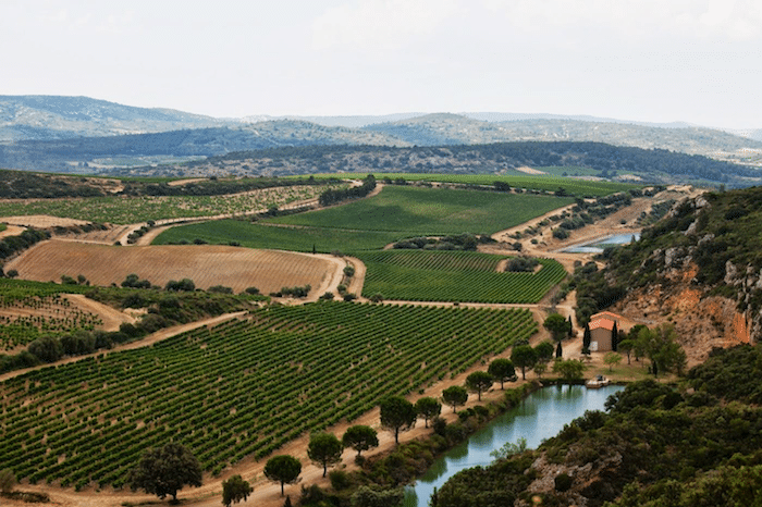 vignoble de Château de Lastours