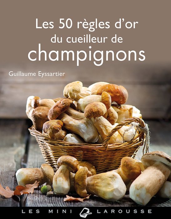 Guide Champignons