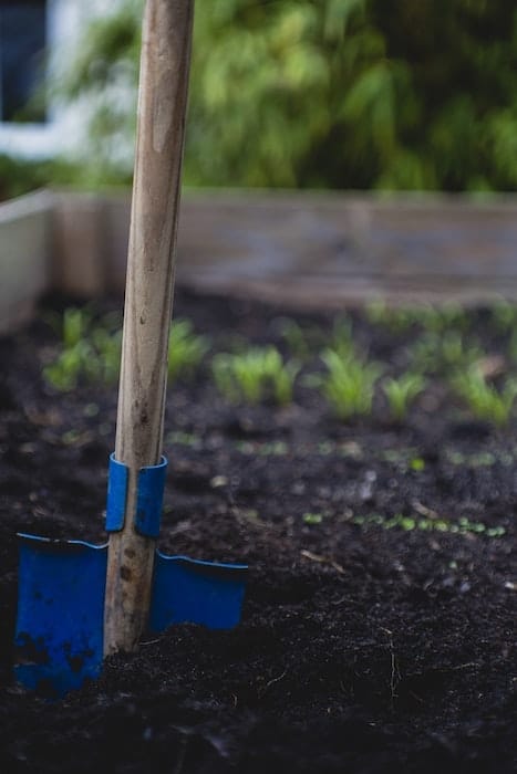 Metro inaugure son potager