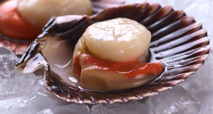 cuisiner la coquille Saint-Jacques