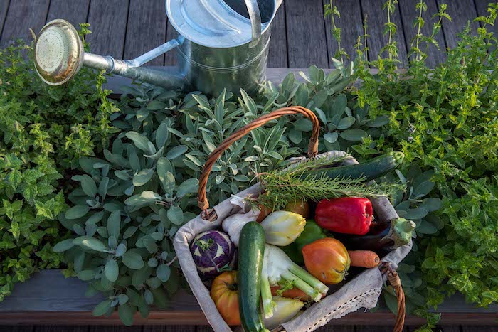 potager Brach Paris