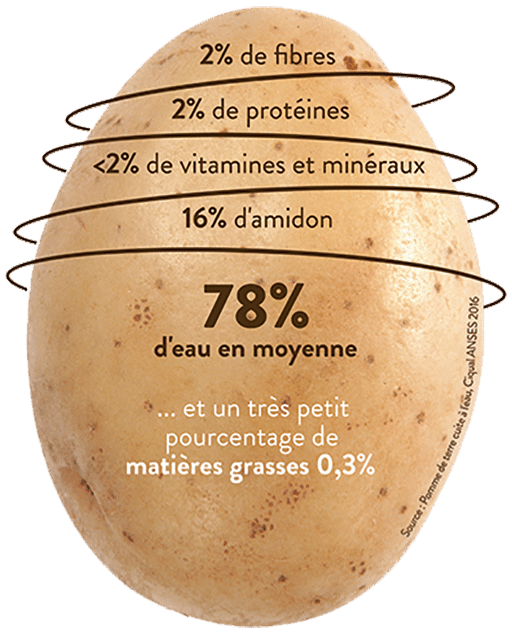 pomme de terre légume ou féculent