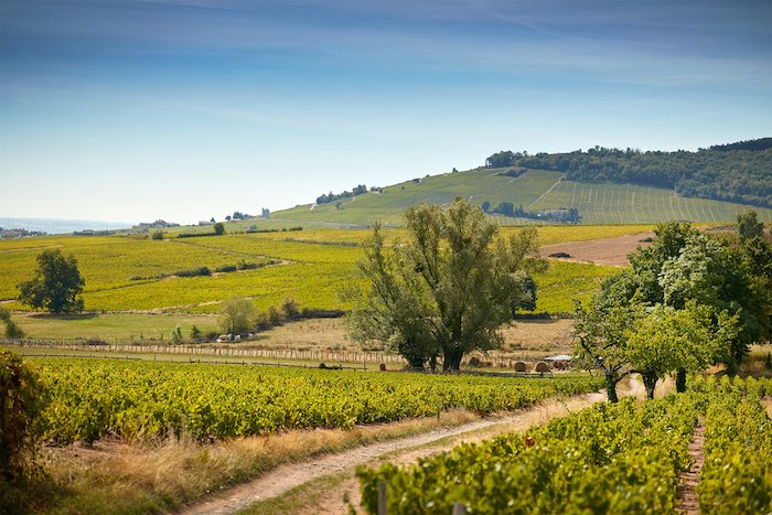 Beaujolais Henry Fessy