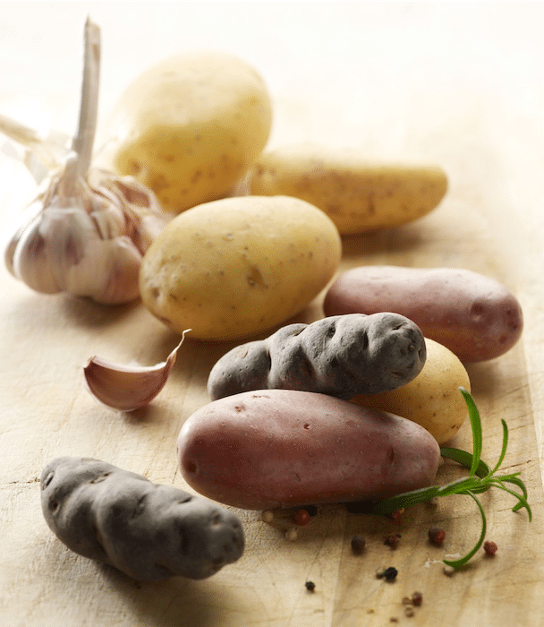 les variétés de pomme de terre