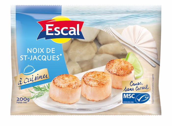 noix_de_saint_jacques_msc_escal Noix de Saint-Jacques MSC Escal