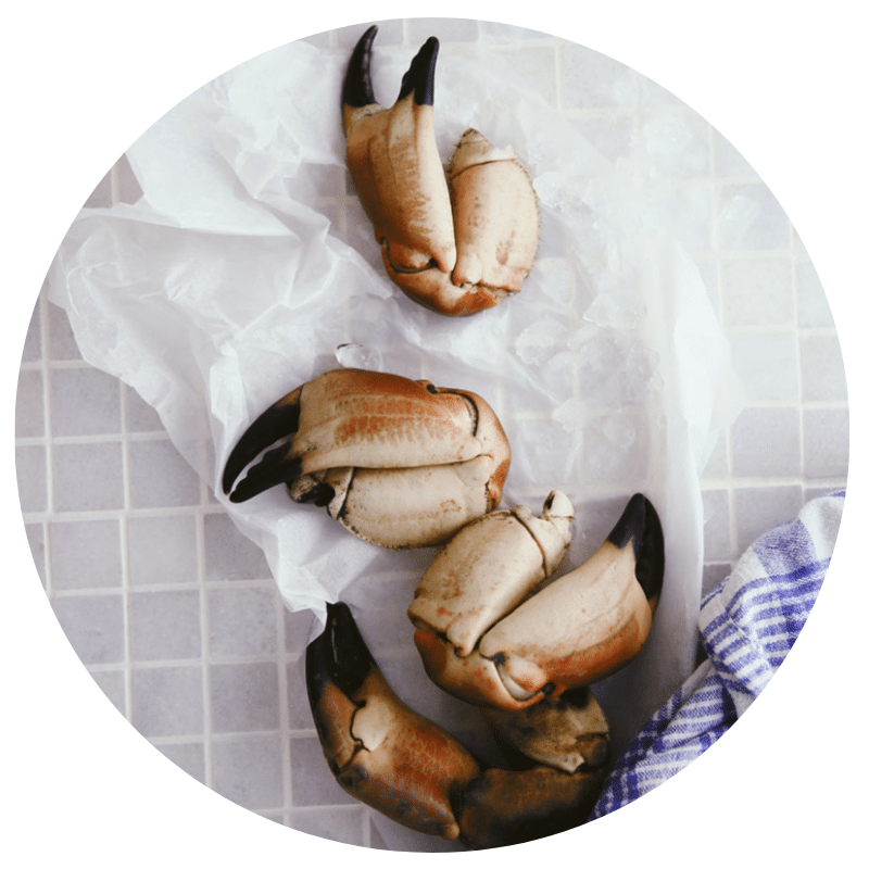 pinces_de_crabe pinces de crabe