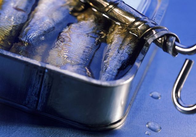 sardines en boites
