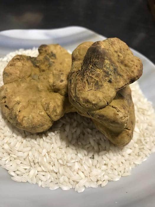 la truffe blanche au Mas Bottero