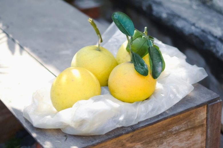 Le yuzu