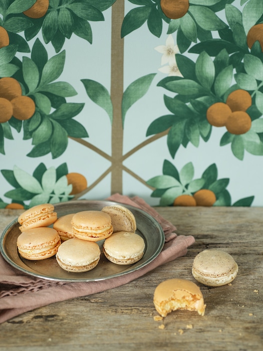 macarons éphémères Dalloyau