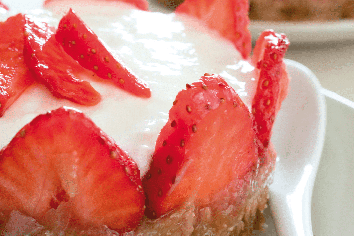 cheesecake fraise rhubarbe