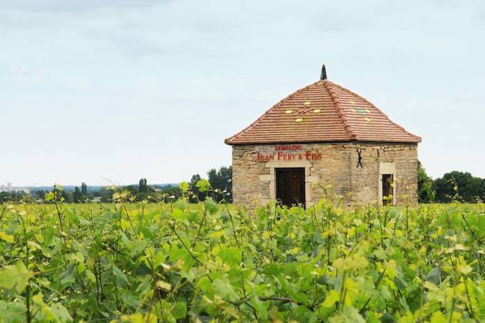 Côte de Nuits-Villages Clos de Magny 2016