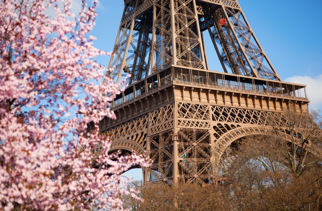 Le printemps des cerisiers japonais The Peninsula Paris