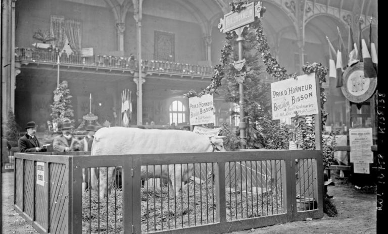 Histoire du Concours Général Agricole
