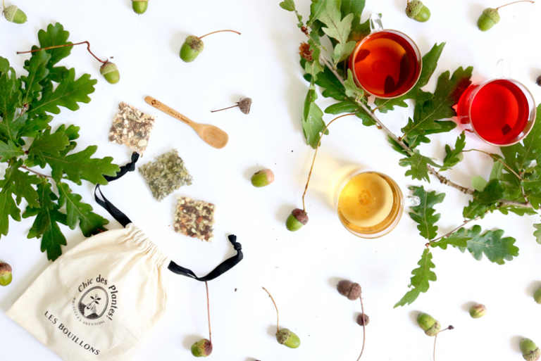Bouillons Chic des Plantes