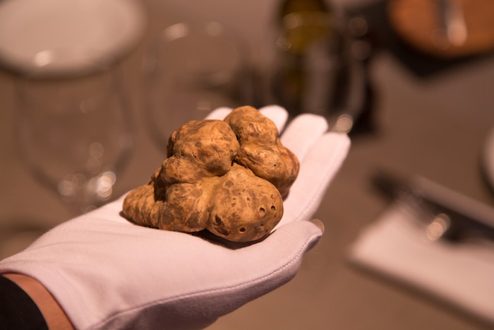 La truffe blanche