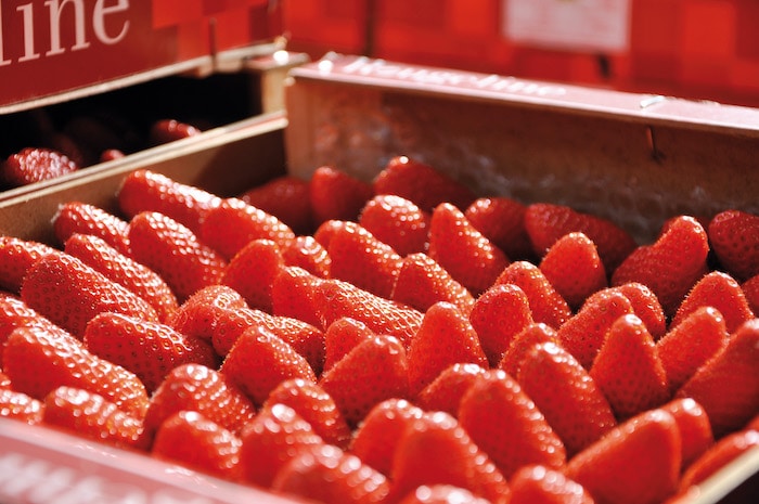 la Fête des Fruits et Légumes Frais