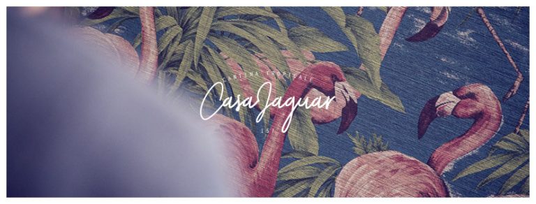 Casa Jaguar Lyon