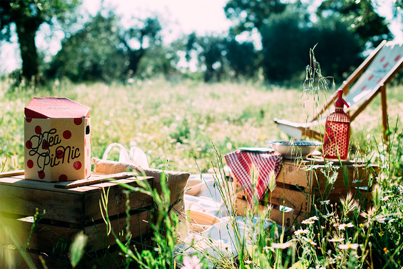 Sangria Lolea Picnic