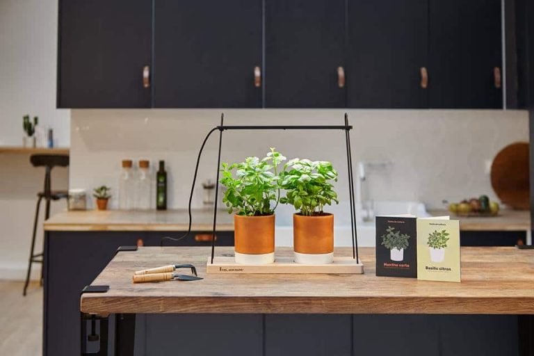 Le potager d'intérieur de Ciel mon Radis