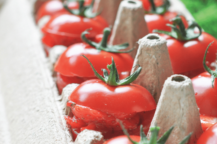 Tomates farcies aux fraises