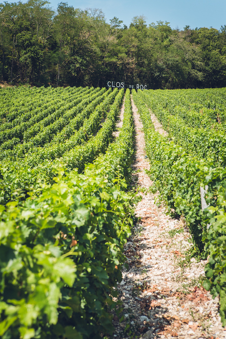 Parcelle Clos du Roc