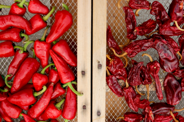 Piment Le Plus Fort Du Monde 2020 La classification des piments du plus doux au plus fort du monde
